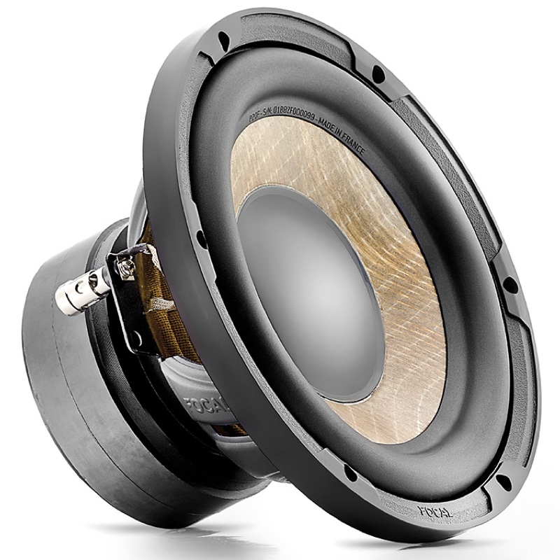 Focal Performance P 20 F ���� � ��������-�������� INCAR