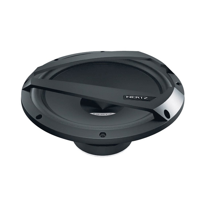 Hertz DS 250.3 ���� � ��������-�������� INCAR