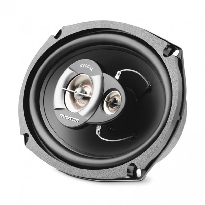 Focal Auditor R-690C ���� � ��������-�������� INCAR