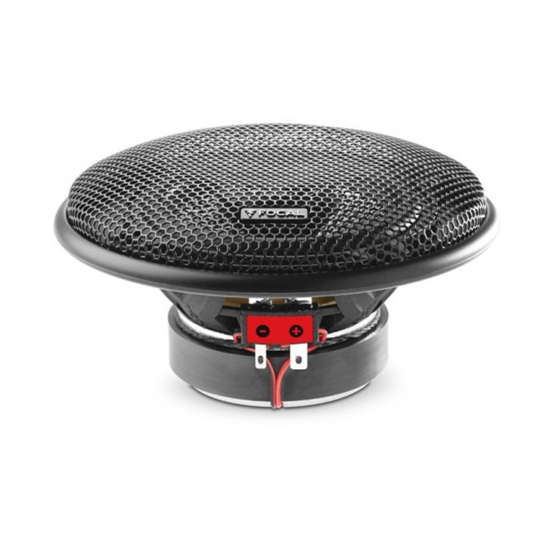 Focal Access 100 AC ���� � ��������-�������� INCAR