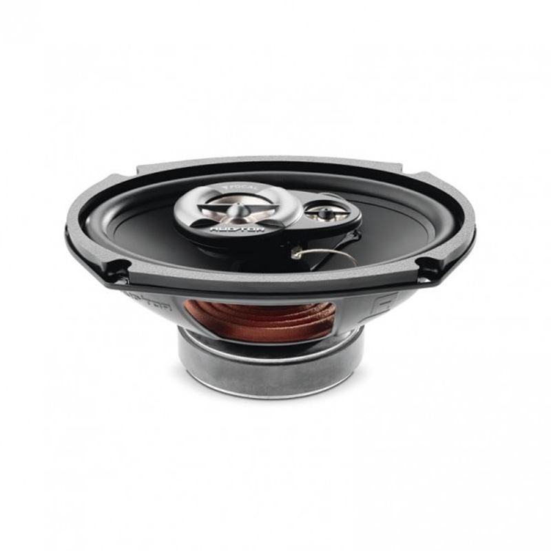 Focal Auditor R-690C ���� � ��������-�������� INCAR