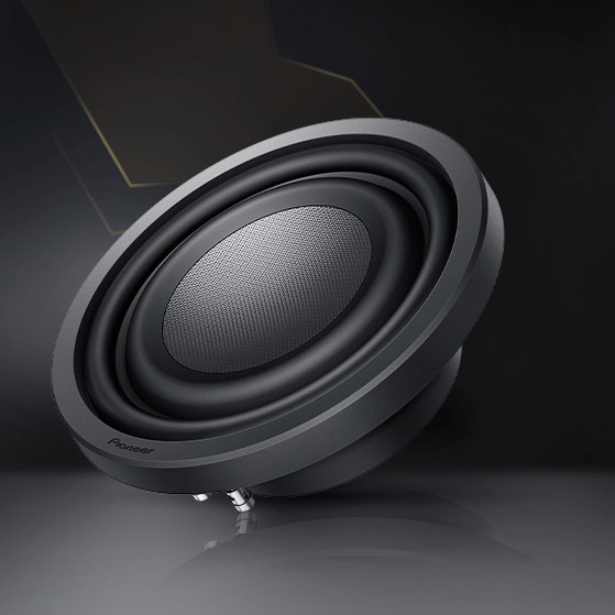 Pioneer TS-ZI0LS4 ���� � ��������-�������� INCAR